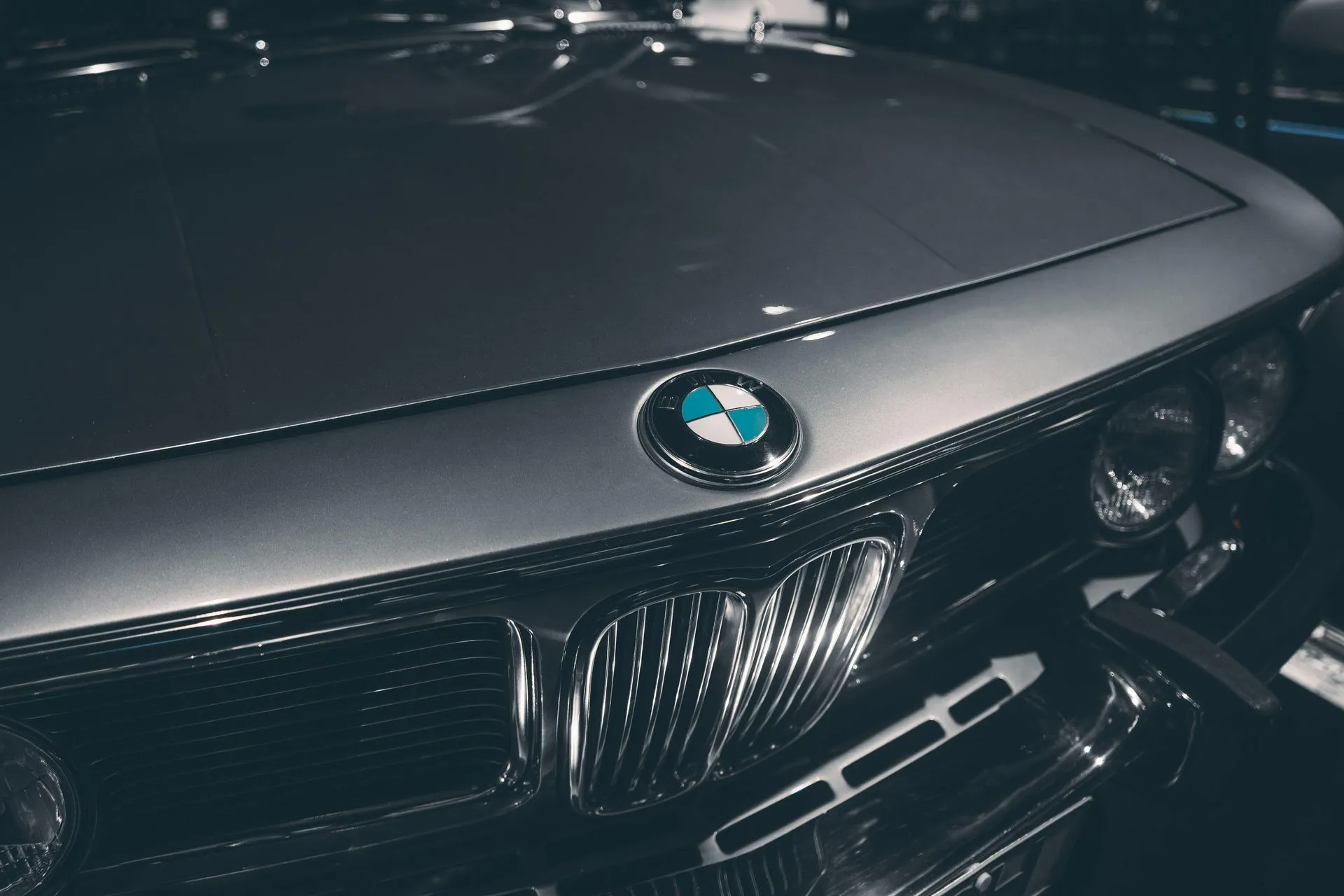 Close-up of a gray BMW hood, roundel badge and kidney grille